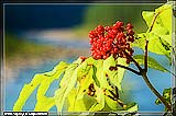        ,      -   .      2006   20   . 
: 4
: 41744
: 2007-05-10
: 85 Kb