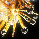         ,           .. 
: 5
: 14345
: 2006-10-20
: 92 Kb
