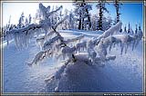(         -  ...)
: 5
: 52731
: 2007-05-12
: 69 Kb