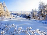    2  (!!) 2006       .    ,          .
: 5
: 40537
: 2007-05-16
: 94 Kb