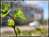   -     .    ,     .          Nikkor 35-70 2.8,   . ,  ..
: 3
: 52302
: 2007-06-10
: 62 Kb