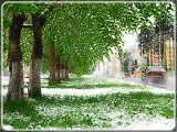  ,      ..       ,            ,     . , .   ,   .         .   -  :)
: 5
: 55682
: 2007-06-11
: 127 Kb
